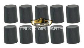 Truck Air 16-3445 A/c Service Caps- Black/10