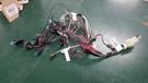 Peterbilt Wiring Harness Panel 16-09545. Fixed Price $200.00.