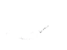 Gates 20906 Engine Coolant Bypass Molded Radiator Heater Hose Nos. Fixed Price $19.00.