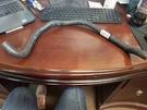 Molded Heater Hose Gates 19338. Fixed Price $29.99.