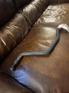 Genuine Ford Motorcraft Hvac Heater Hose 03-04 Super Duty 3C3Z-18472-AA Oem New. Fixed Price $54.59.