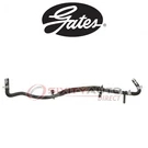 Gates 23818 Radiator Coolant Hose For KM-5058 8C3Z 9Y439 8C34 Zj. Fixed Price $63.51.