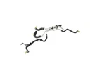 Genuine Mopar Heater Supply And Return Hose 68260023AB. Fixed Price $196.04.