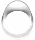 Woody's WP-DP521 Chrome Gauge Trim. Fixed Price $11.39.